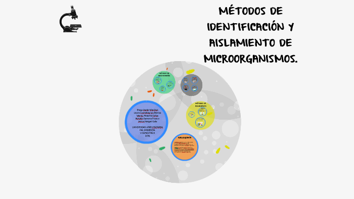 MÉTODOS DE AISLAMIENTO E IDENTIFICACIÓN DE MICROORGANISMOS. by laura
