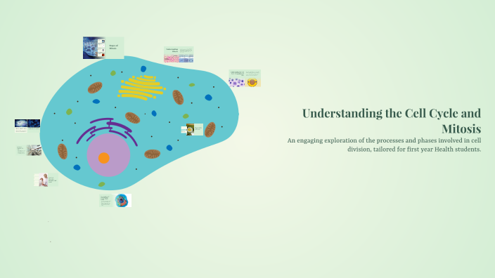 Understanding the Cell Cycle and Mitosis by Tony Barstow on Prezi
