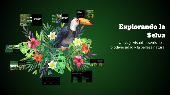 Explorando la Selva by Sebastián Cordero Ibarra on Prezi