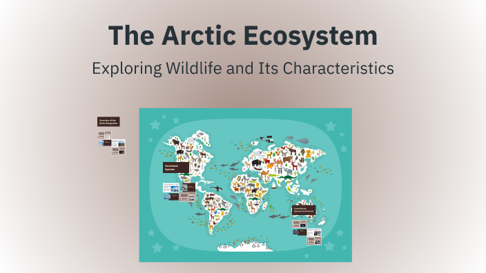 The Arctic Ecosystem by Paula López Grande on Prezi