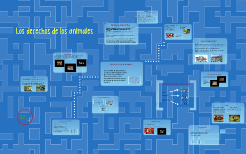 Los derechos de los animales by Alnolu Usgaaz on Prezi