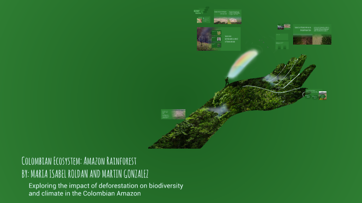 Colombian Ecosystem: Amazon Rainforest by Martin González Gómez on Prezi