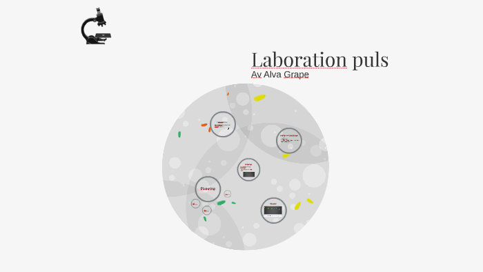 Laboration puls by Alva Grape on Prezi