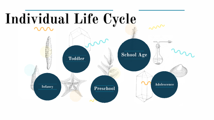 individual-life-cycle-by-addison-pilcher