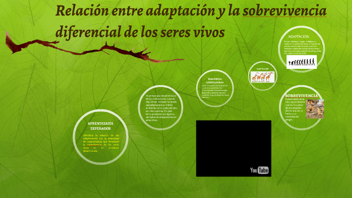 Relación entre adaptación y la sobrevivencia diferencial de by Anakary