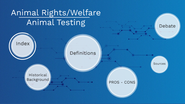 Animal Rights/Welfare VS Animal Testing by Julia K