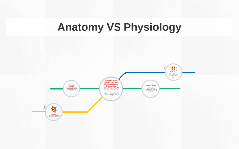Anatomy VS Physiology by Natalie Black