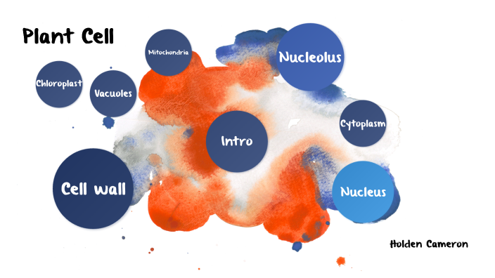 Plant Cell Compared to Mall by Holden Cameron [Student] on Prezi