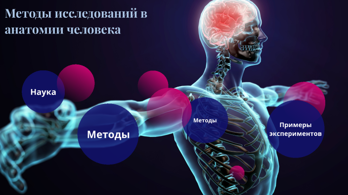 Методы исследований в анатомии человека by Мадина Аужанова on Prezi