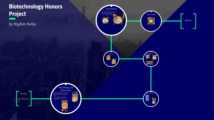 Biotechnology Honors Project by Meghan Bailey