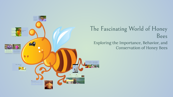 The Fascinating World of Honey Bees by Brad Schneider on Prezi