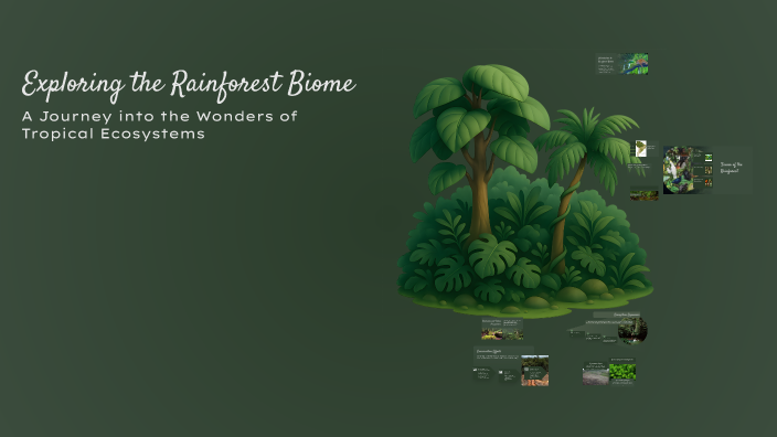 Exploring the Rainforest Biome by KAREN REYES CARRERA on Prezi