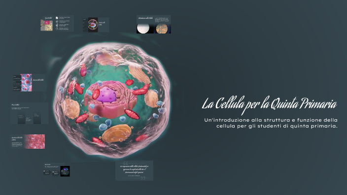 La Cellula per la Quinta Primaria by Rosanna Masciarelli on Prezi