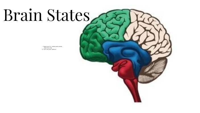 conscious-discipline-brain-states-by-matt-aspeel-on-prezi