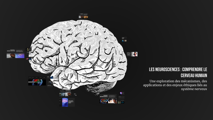 Les neurosciences : comprendre le cerveau humain by Salim Mabed on Prezi