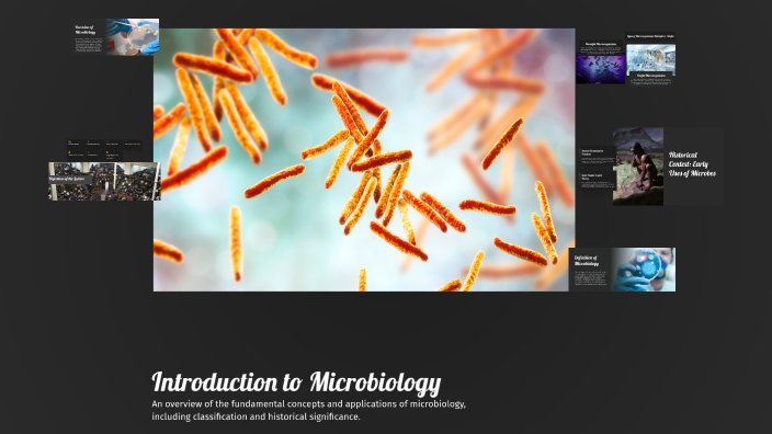 Introduction to Microbiology by Samah Zainelabdin on Prezi