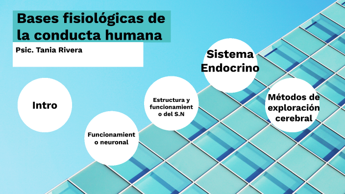 Bases fisiológicas en la conducta by Tania Valeria Vázquez Rivera on Prezi