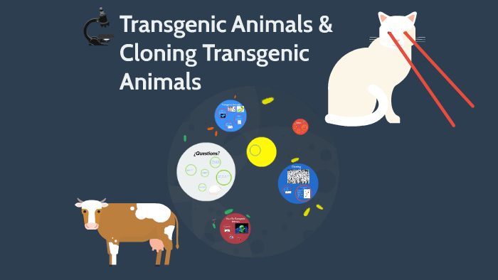 Transgenic Animals & Cloning Transgenic Animals by