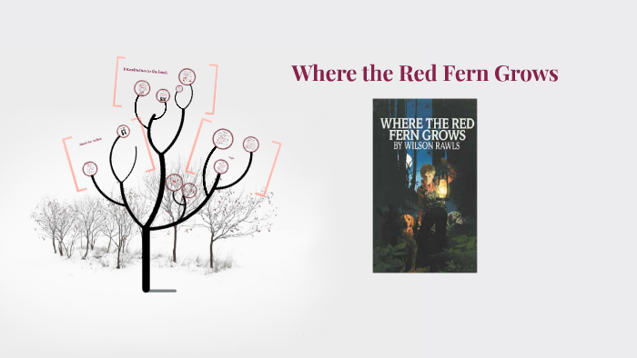 Where The Red Fern Grows Deutsch