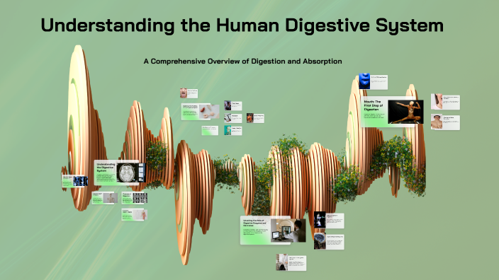 Understanding the Human Digestive System by rajesh dalal on Prezi