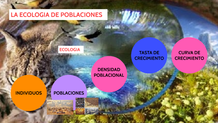 Guía Definitiva: Autovías Dentro De Poblaciones Para Tu Teórica. - ma9u4vq