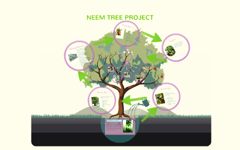 Neem Tree Project By Foram Parajiya