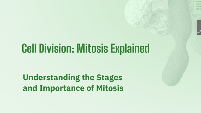Cell Division: Mitosis Explained by OJASWITA SHARMA on Prezi
