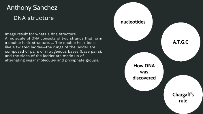 DNA structure by Anthony Sanchez on Prezi