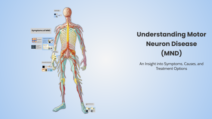Understanding Motor Neuron Disease (MND) by Aaron Chino on Prezi