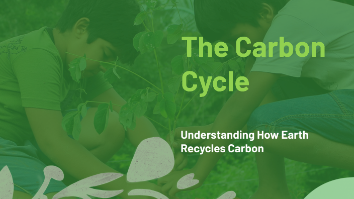 The Carbon Cycle by Nation Ohn on Prezi