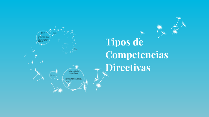 Tipos De Competencias Directivas By Valeria Espitia