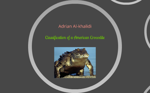Classification of a Crocodile by A Al-Khalidi on Prezi
