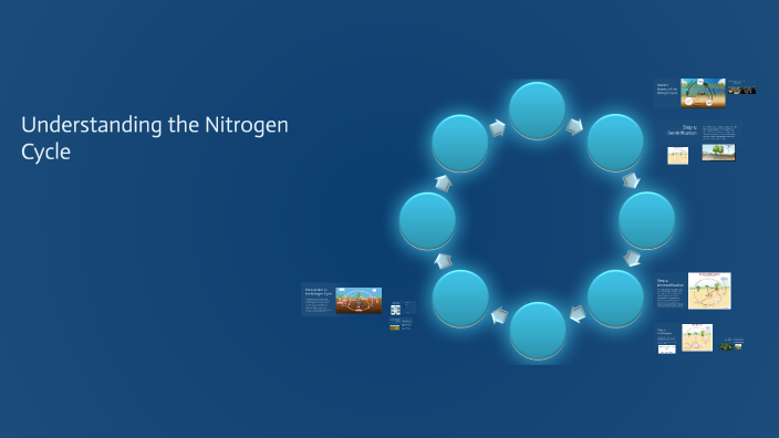 Understanding the Nitrogen Cycle by John Dyment on Prezi