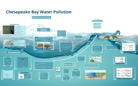 Chesapeake Bay Pollution by Larena Motayne on Prezi