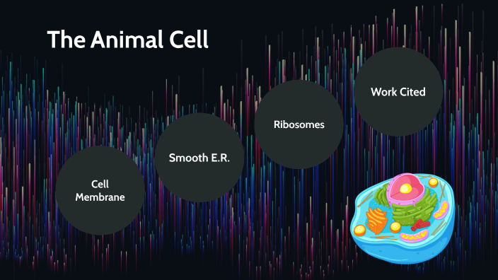Animal cell by Zachary McNabb _ Student - WakefieldHS on Prezi