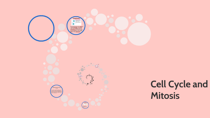 Cell cycle and Mitosis presentation by Anastasia Miliotis on Prezi