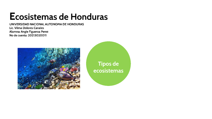 Ecosistemas de Honduras by Angie Figueroa on Prezi
