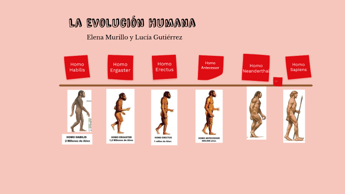 La evolución del Neanderthal by Elena Murillo Aqueche on Prezi