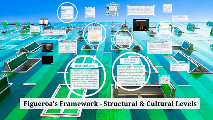 institutional level of figueroas framework