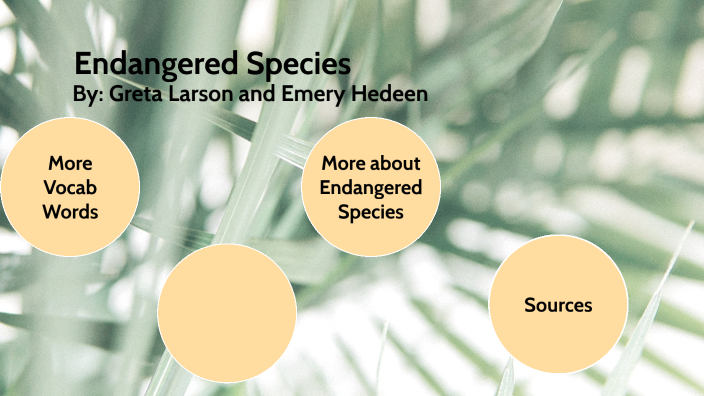 Endangered Species by Greta Larson on Prezi