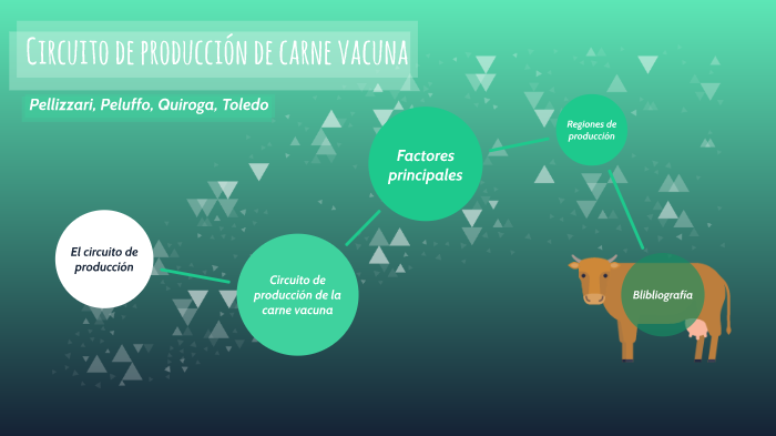 Circuito de producción de la carne vacuna by Eugenia Peluffo on Prezi