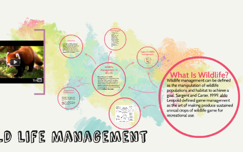 Wild Life Management By Cecily Cornett On Prezi