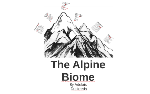 The Alpine Biome _ 12.2 By