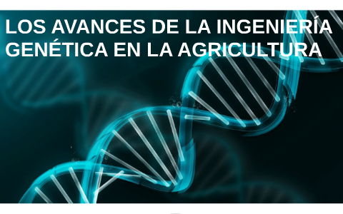 Los Avances De La Ingenieria Genetica En La Agricultura By Armando