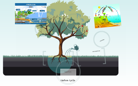 carbon cycle by Bazz Jox on Prezi