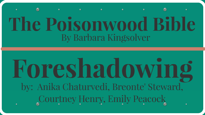 the-poisonwood-bible-by-breonte-steward