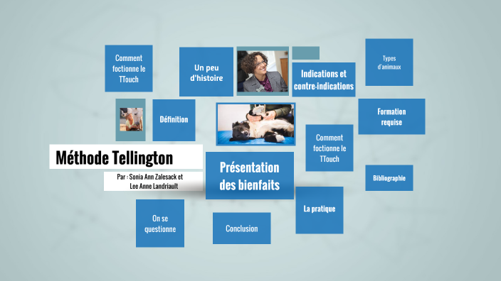 Méthode de Tellington (TTouch) by Lee Anne Landriault on Prezi