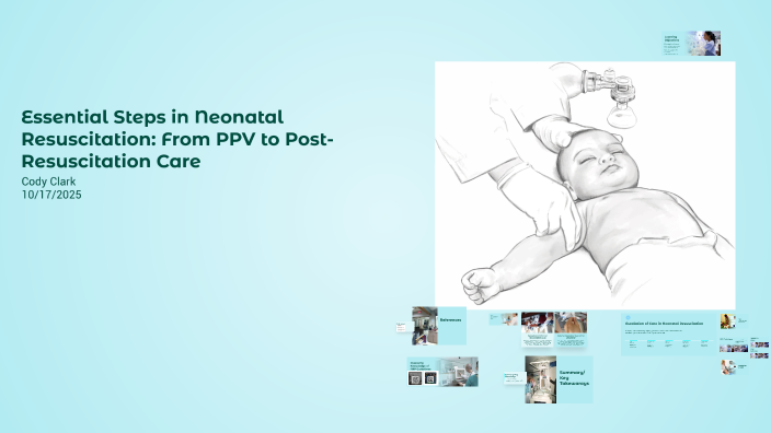 Neonatal Resuscitation Program (NRP): Evidence-Based Guidelines for ...