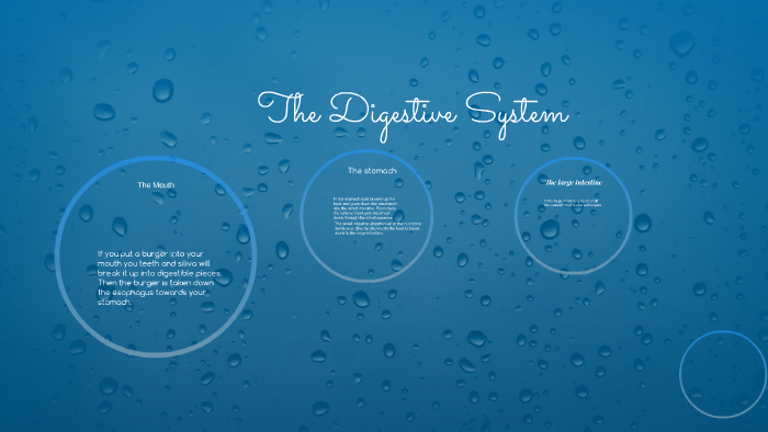 The Digestive System by hannah toms on Prezi