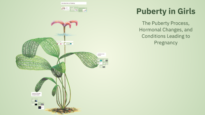 Puberty in Girls by ERFAN AHMADI on Prezi